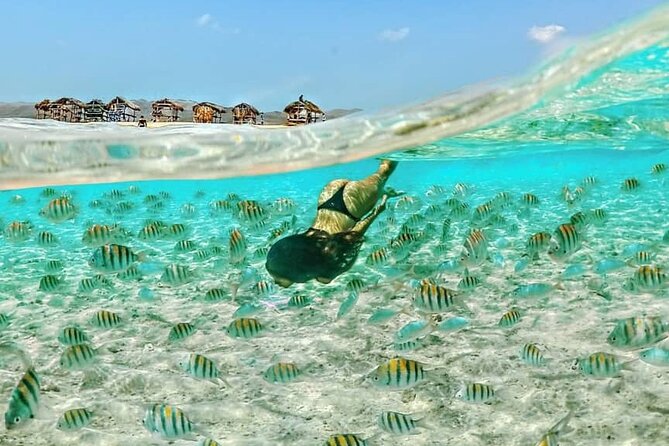 Party Boat Booze Cruise - Crucero Con Bebidas Y Fiesta En Barco - Exciting Onboard Activities