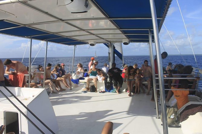 Party Boat in Catamaran With Open Bar + Snorkeling - Inclusions