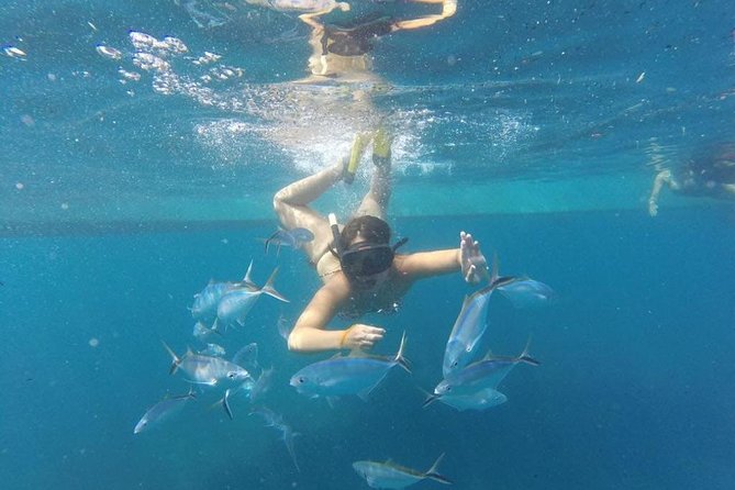 Party Boat in Catamaran With Open Bar + Snorkeling - Booking Your Stay