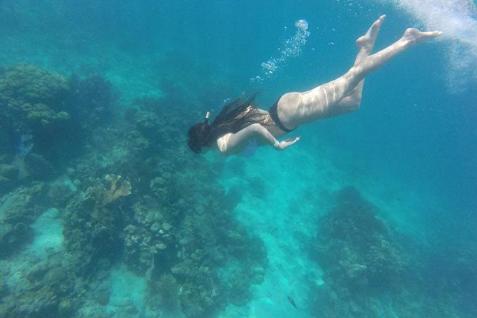 Party Boat in Catamaran With Open Bar + Snorkeling - Questions About Your Stay