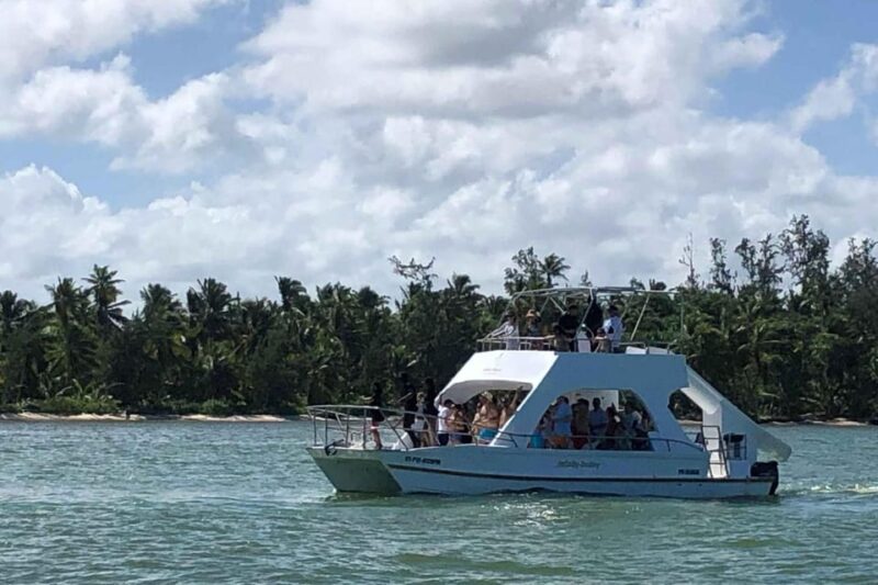 Party Boat in Punta Cana With Open Bar and Reef Snorkeling - Onboard Activities