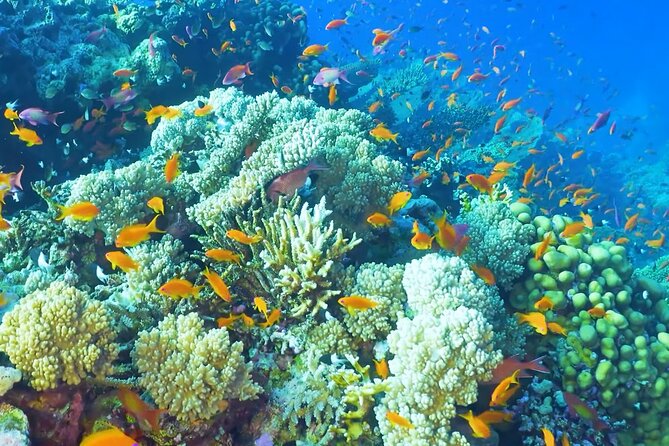 Party Boat Puerto Plata - Refreshments Included