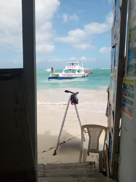 Party Boat - Language and Communication