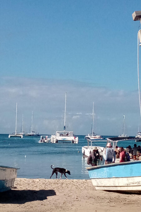 Party Boat - Frequently Asked Questions