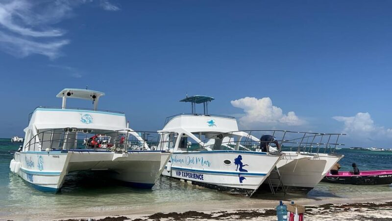 Party Boat With Snorkeling and Open Bar in Punta Cana - Important Information