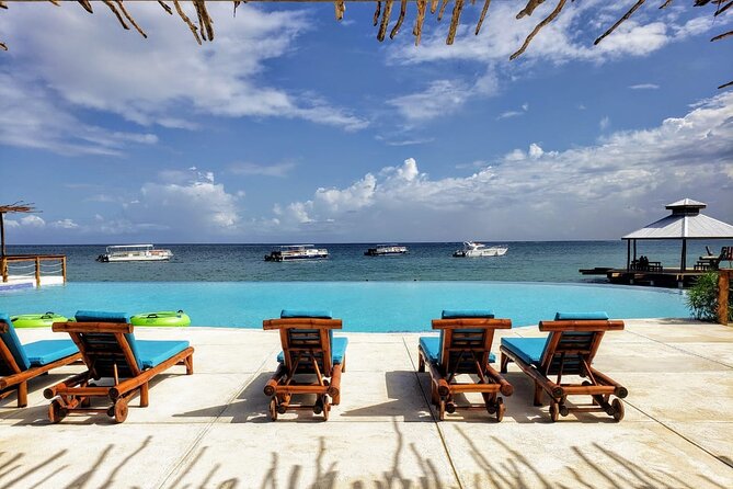 Party Catamaran Cruise, Snorkel, ATV, and Ziplines - Horseshoe Beach Sanctuary