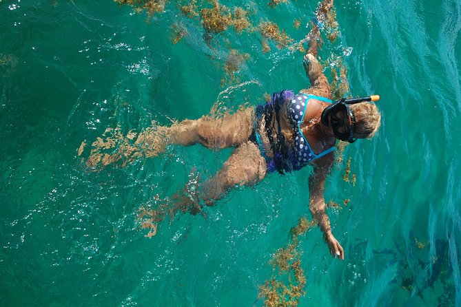 Party in Catamaran in Punta Cana Open Bar - Marine Life and Snorkeling