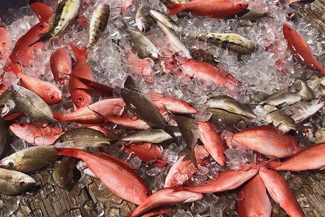 Party/Walk-On Fishing Trip - What to Expect on the Fishing Trip