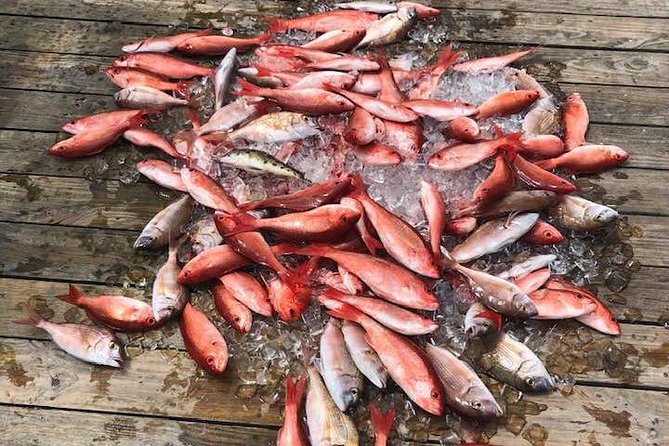Party/Walk-On Fishing Trip - Maximizing Your Fishing Experience