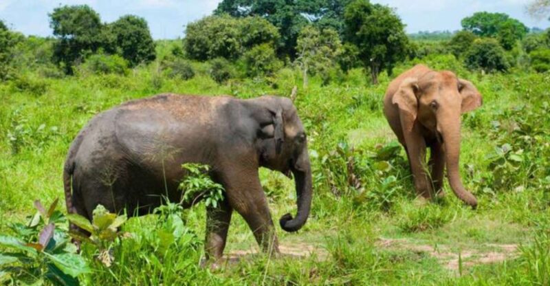 Pasikuda Escapade: A 5-Day Journey of Discovery and Relaxati - Daily Itinerary
