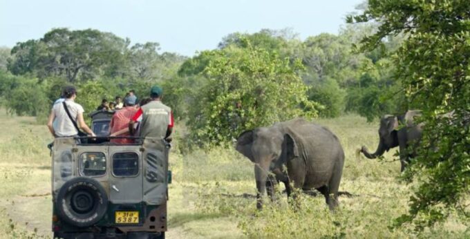 Pasikuda Escapade: A 5-Day Journey of Discovery and Relaxati - Water Sports Offerings