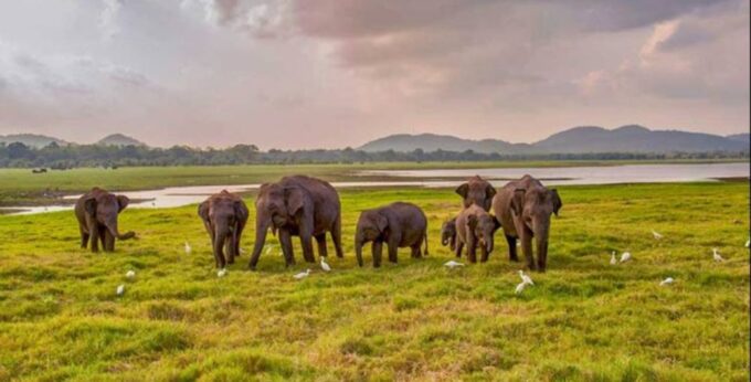 Pasikuda Escapade: A 5-Day Journey of Discovery and Relaxati - Frequently Asked Questions