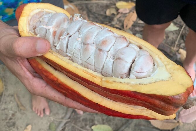 Paso Del Mango Chocolate & Waterfalls Tour - Booking Information and Pricing