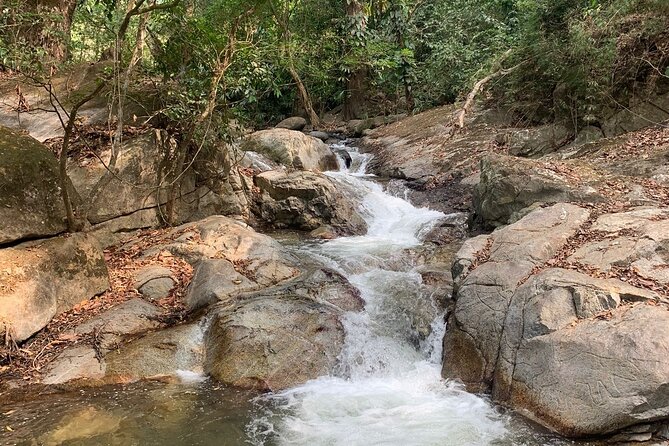 Paso Del Mango Chocolate & Waterfalls Tour - Delectable Chocolate Delights