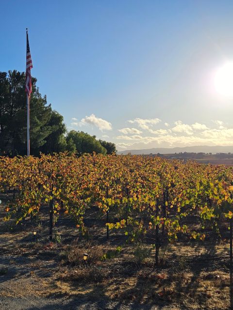 Paso Robles Full-Day Winery Tour With Picnic - Experience Highlights