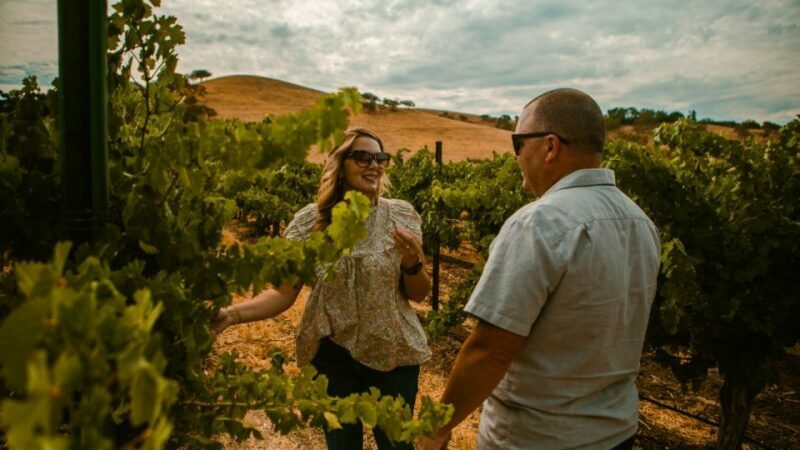 Paso Robles: The Luxe Wine Trail Excursion - A Scenic and Tasty Four Hours in Paso Robles