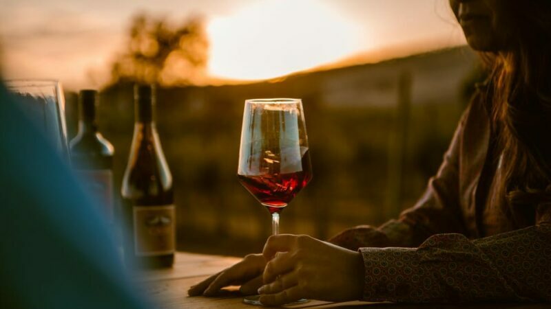 Paso Robles: Vineyard Rides Wine Adventure - The Value and Who Will Love It