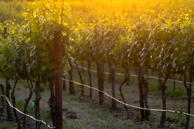 Paso Robles Wine Adventure With Pickup From Paso Robles, CA - Pickup Locations