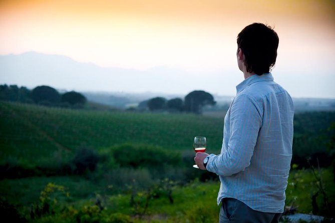 Paso Robles Wine Adventure With Pickup From San Simeon, CA - Winery Visits