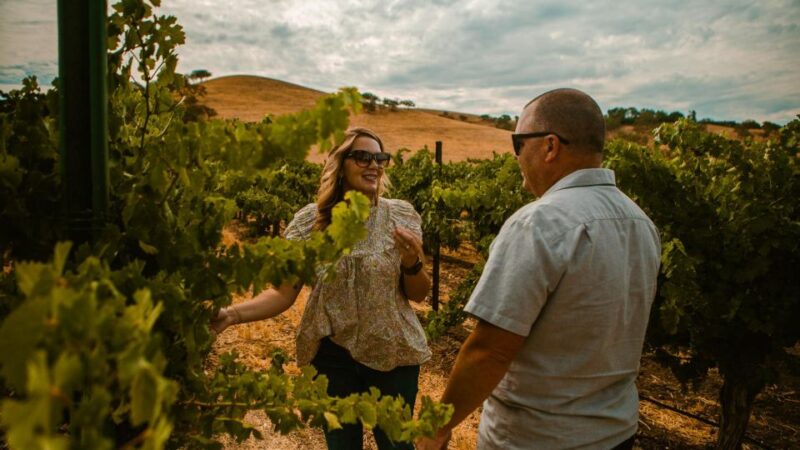 Paso Robles: Wine Country Sightseeing Tour by Sidecar - Key Points