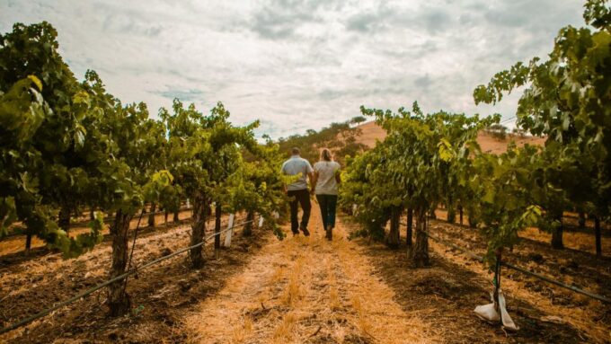 Paso Robles: Wine Country Sightseeing Tour by Sidecar - Scenic Drive