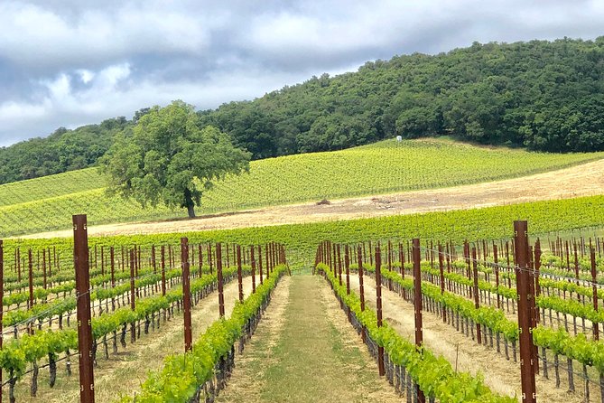 Paso Robles Wine Tour: We Drive Your Vehicle - Included Services