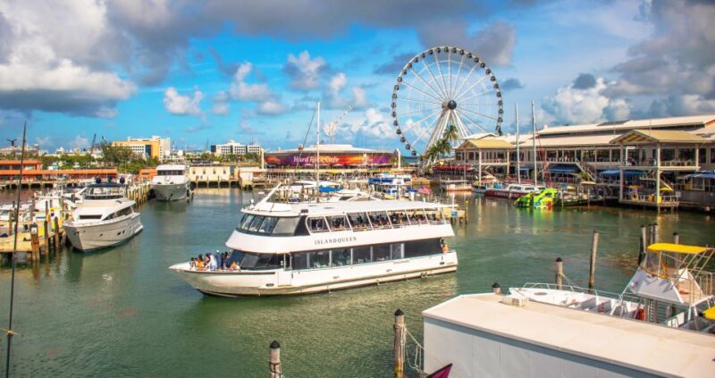 Passin Miami - All Inclusive Miami Pass W/ Airport Transfer - Customer Feedback and Reviews
