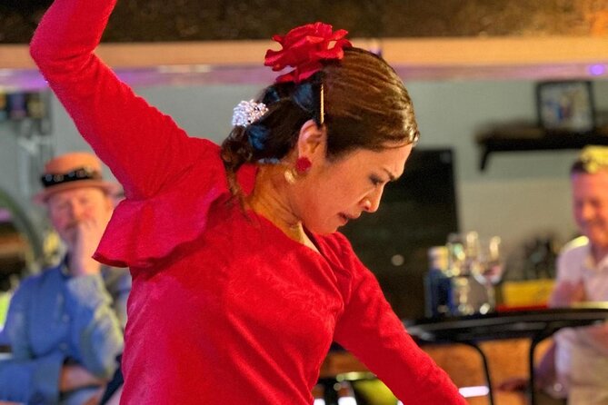 Passion : the Story of Flamenco Show in Marbella - Seville-Trained Flamenco Performers