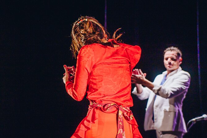 Passion : the Story of Flamenco Show in Marbella - Authentic Flamenco Environment