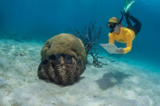 Passions of Paradise Be A Marine Bio for the Day! - Requirements and Booking Information