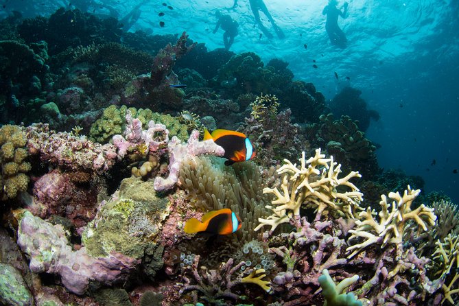 Passions of Paradise Great Barrier Reef Cruise by Catamaran - Pricing and Additional Costs