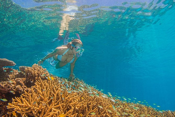 Passions of Paradise Great Barrier Reef Cruise by Catamaran - Customer Review Highlights