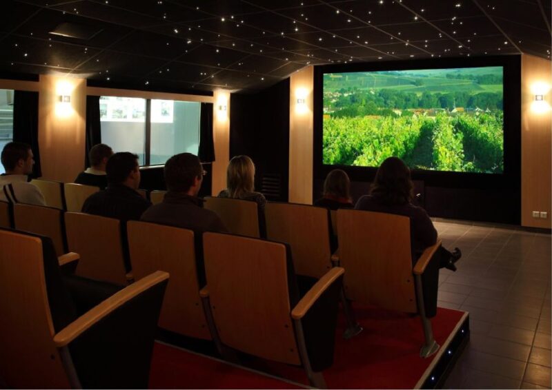 Passy-Grigny: Champagne Tour With 3 Meunier Tastings - Duration and Language