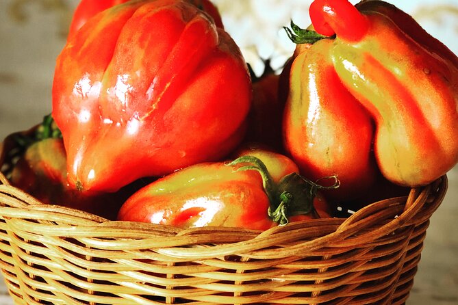 Pasta and Pizza Cooking Class in Cortona - Location and Accessibility