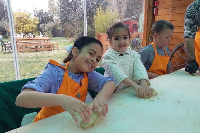 Pasta and Pizza Master Class and Tiramisu Tasting - Accessibility and Age Requirements