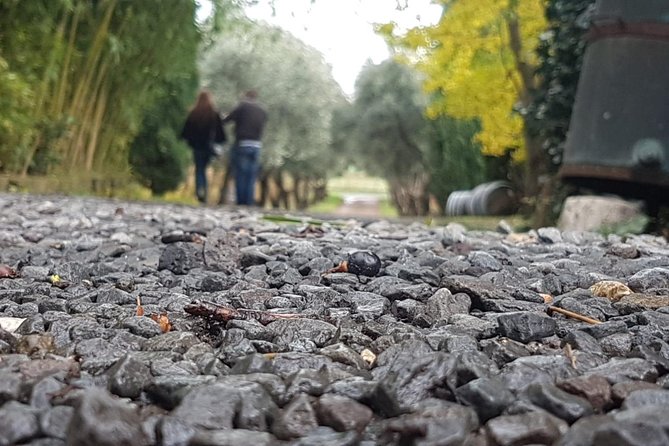 Pasta Perfected: Culinary Adventure and Wine - Rome Countryside - Booking Information