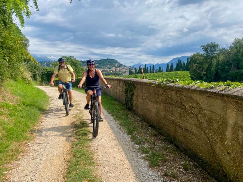 Pastrengo: E-Bike Tour and Wine Tasting in the Castle - Inclusions and Requirements