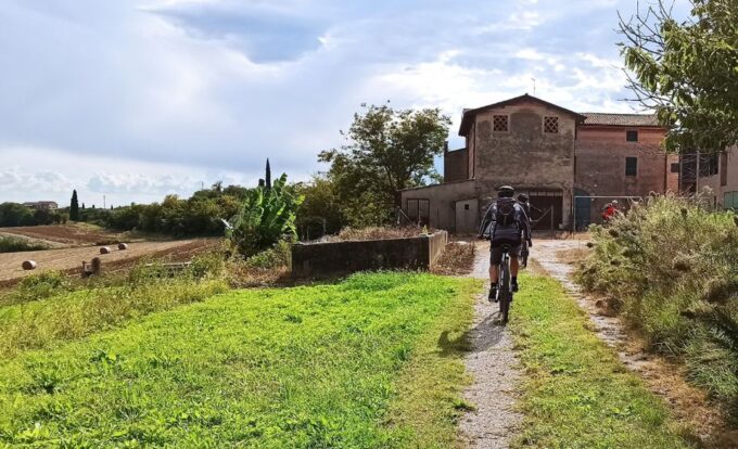Pastrengo: E-Bike Tour and Wine Tasting in the Castle - Sampling the Artisanal Delicacies