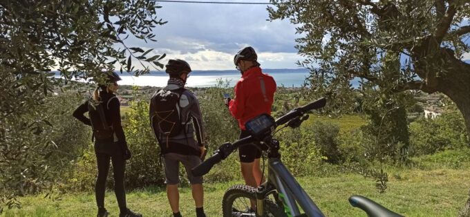 Pastrengo: E-Bike Tour and Wine Tasting in the Castle - Customer Feedback and Recommendations