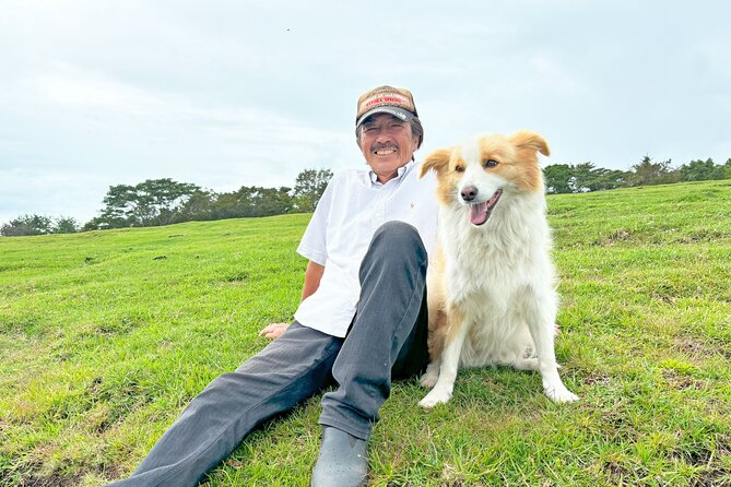 Pasture Hike With Horse Whisperer at Horse Trust in Kagoshima - Meeting and Pickup Information