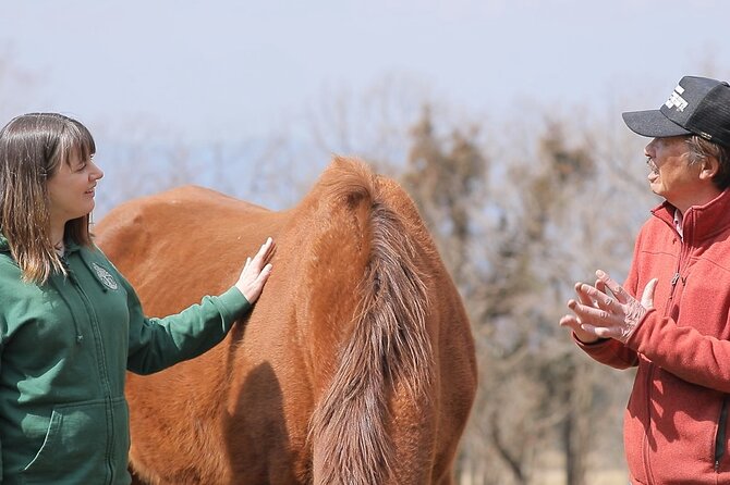 Pasture Hike With Horse Whisperer at Horse Trust in Kagoshima - Included Amenities