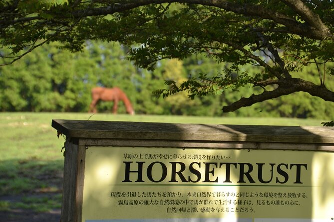 Pasture Hike With Horse Whisperer at Horse Trust in Kagoshima - Confirmation and Accessibility
