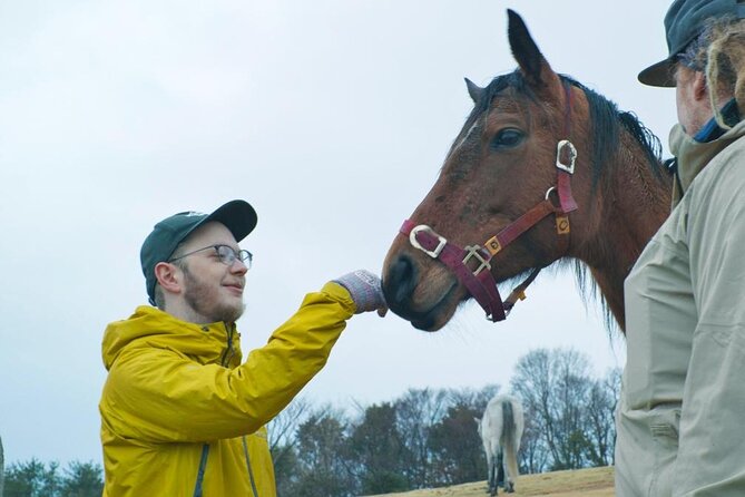 Pasture Hike With Horse Whisperer at Horse Trust in Kagoshima - Reviews and Operator Information