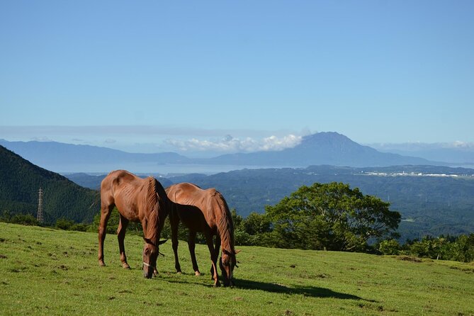 Pasture Hike With Horse Whisperer at Horse Trust in Kagoshima - Booking and Cancellation Policies