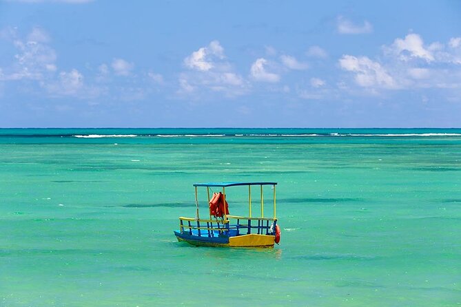 Patacho Beach Tour From Maceió - Tour Overview