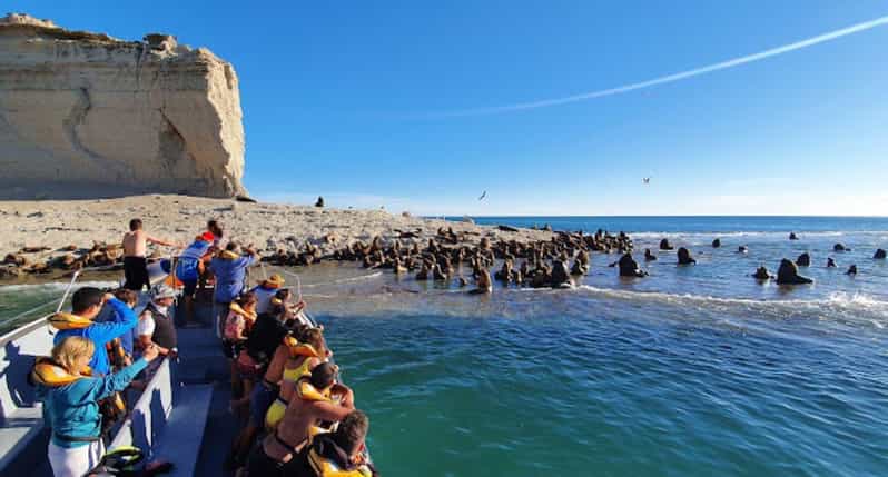 Patagonia: Peninsula Valdes Whale Watching - Transportation and Pickup