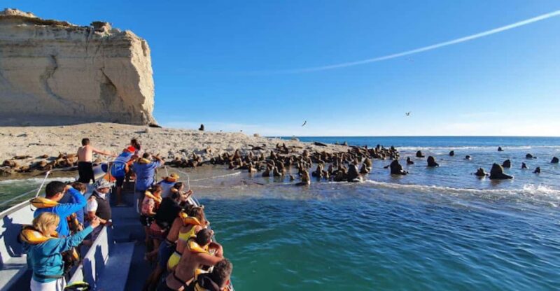 Patagonia: Peninsula Valdes Whale Watching - Unique Blend of Experiences