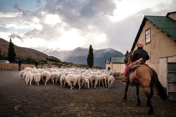 Patagonian Ranch: Nibepo Aike Adventure With Horseback Riding - Key Points