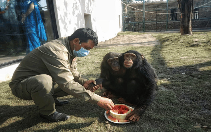 Patan: Patan Durbar, Central Zoo & Godawari Botanical Garden - Frequently Asked Questions