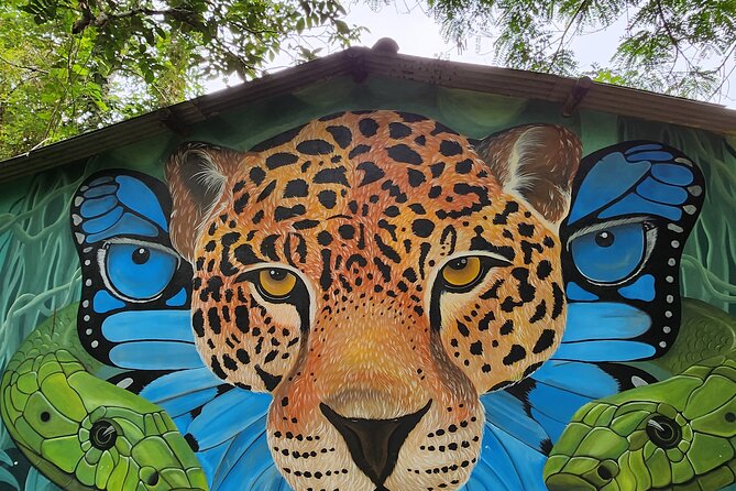 Pataxó Indigenous Village + Cedro Island + Waterfall by JANGO TOUR - Waterfall Adventure